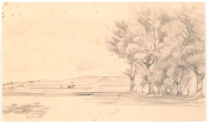 Landschaft mit Ackerland; rechts hohe Bäume