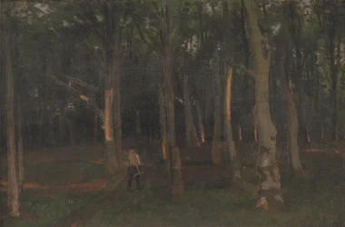 Wald bei Sonnenuntergang