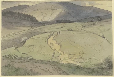 Schwarzwaldlandschaft, Blick über hügelige Wiesen auf höhere Berge