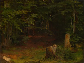 Waldinneres