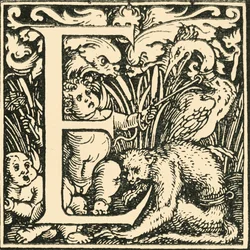 E - Ein Alphabet von Hans Weiditz, um 1520-1521, 1908