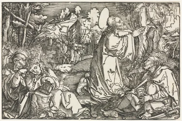 Die Agonie im Garten