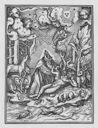 Holbeins Totentanz: Die Schöpfung