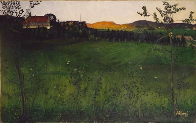 Reifes Feld