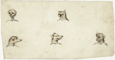 Köpfe von vier Tieren und ein Skelett