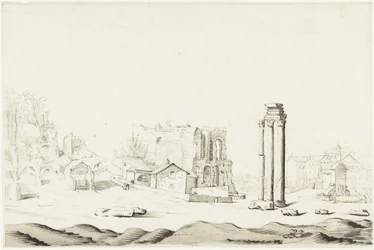 Ruinen des Campo Vaccino im Forum Romanum