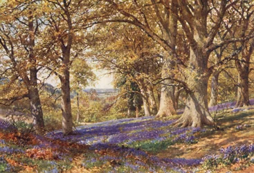 Ein Hang von Glockenblumen, Hascombe