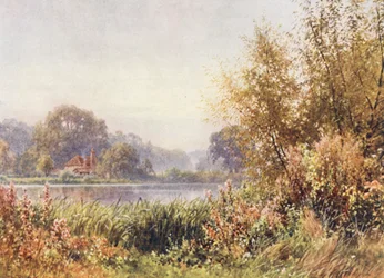 Herbstunkräuter, Chilworth