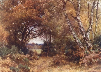 Der Rand eines Waldes, Royal Common