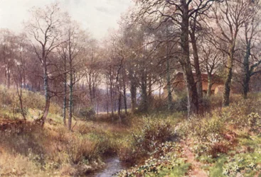 Der Bauernhof mitten im Wald, nahe Haslemere