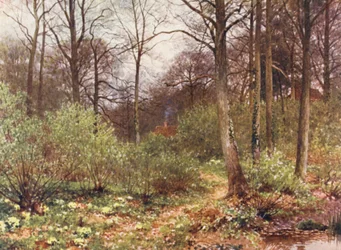 Das Häuschen des Wildhüters