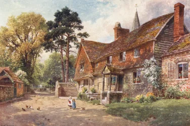 Witley