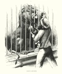 Matrose und Löwe (Gravur)