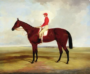 Lord Clifdens Rennpferd Surplice mit S. Templeman