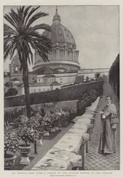 St. Peter vom Eck des italienischen Gartens des Vatikans gesehen