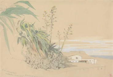 Aloen und Feigenkakteen, Tarragona, Spanien