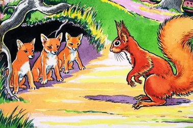 Kleines rotes Eichhörnchen
