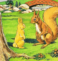 Kleines rotes Eichhörnchen