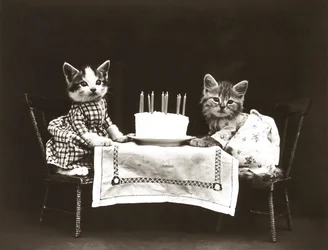 Kätzchen-Serie: Geburtstagsfeier, ca. 1914