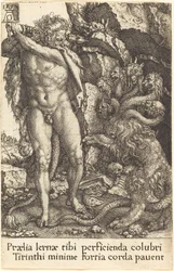Herkules kämpft mit der Hydra von Lernea