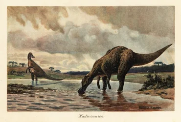 Hadrosaurier oder Entenschnabeldinosaurier fressen in einem Fluss
