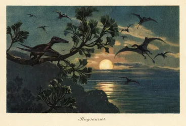Rhamphorhynchus-Pterosaurier fliegen im Mondlicht