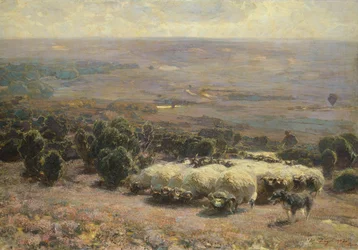 Eine Schafherde in der Lüneburger Heide, 1902