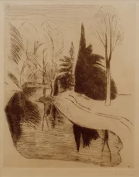 Park in Dilborn, 1914