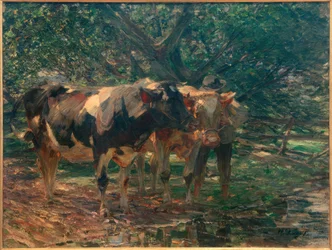 Schwarz- und Rotscheck