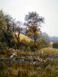 Blumen pflücken am Teich