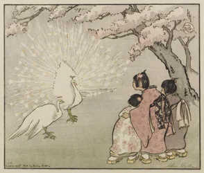 Weißer Pfau, 1914