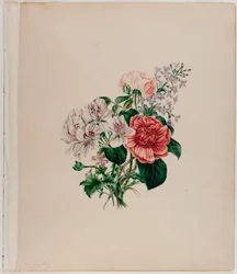 St. Leon Bouquet, um 1842
