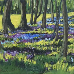 Blaublumenwald, 2008