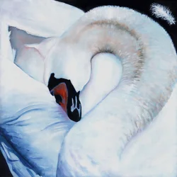 Herz-zentriert, 2016