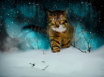 Spuren hinterlassen, 2019