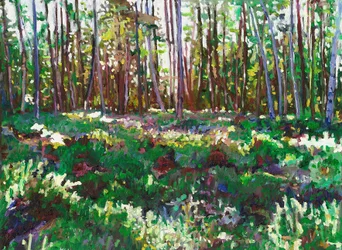 Sonnenlicht auf Heidekraut, 2011
