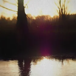 Violetter Dunst, 2018