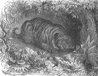 Ein Nickerchen nach dem Abendessen, um 1900