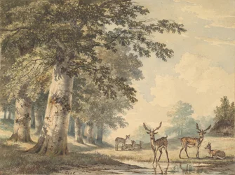 Hirsche unter Buchen im Winter, 1853
