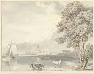 Blick über den Rhein auf Rhenen