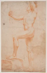 Männliche Modellstudie