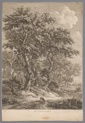 Landschaft bei Zuidlaren