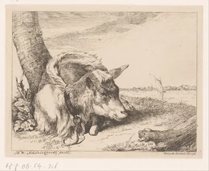 Liegende Ziege am Wasser (Verschiedene Tiere)