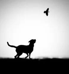 Verspielte Hund-Vogel-Silhouette