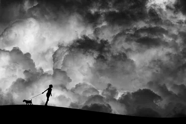Stürmischer Himmel Hundespaziergang
