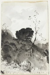 Landschaft