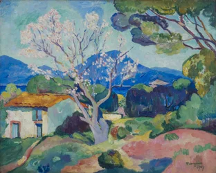 Mandelbaum in Blüte, 1907