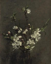 Obstbaumblüten