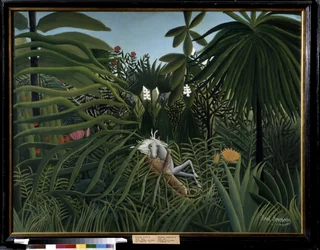 Pferd von einem Jaguar angegriffen