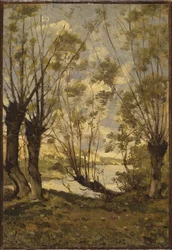 Weiden am Ufer der Loire